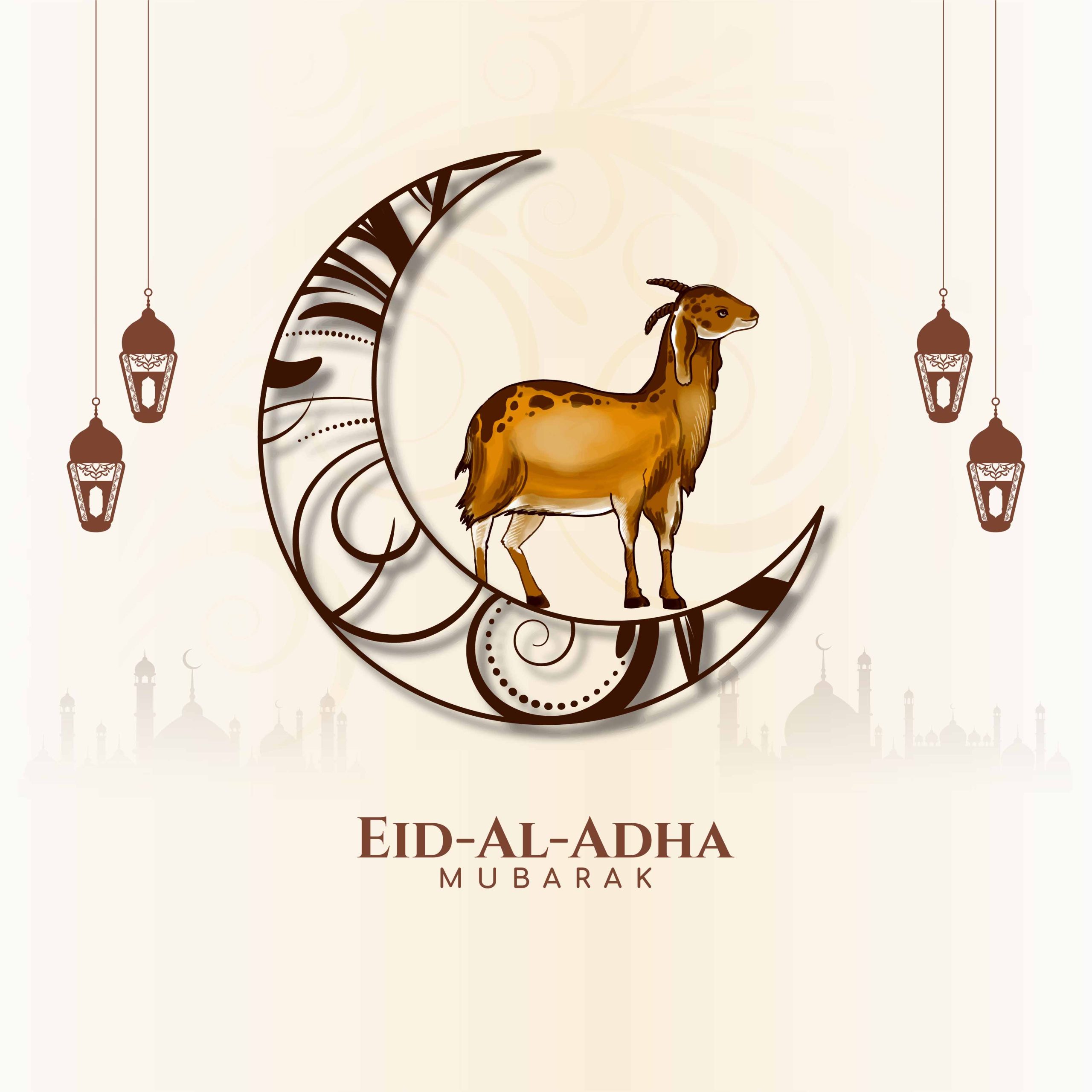 aid